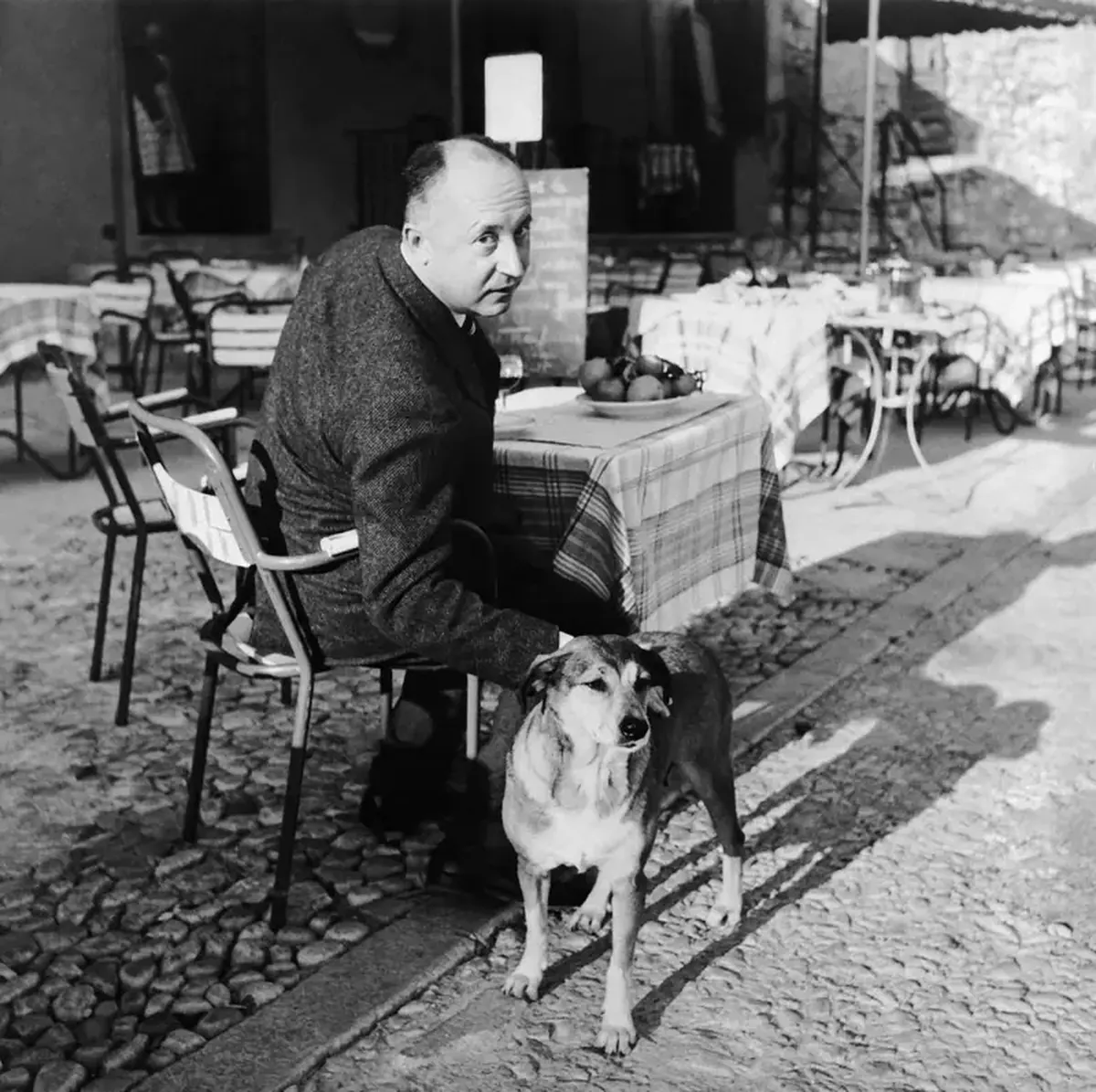 How Christian Dior Escaped Diplomacy and Reinvented Fashion 11 Christian Dior: a diplomat who escaped into the world of fashion.