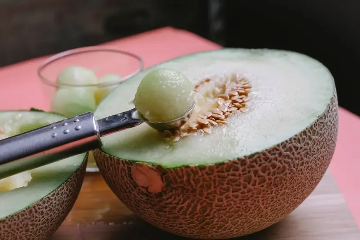A sweet gift: the melon came to Europe from Asia.
