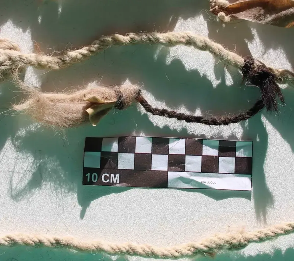 In the language of knots: a 68-meter-long message from the ancient Incas has been discovered in Peru.