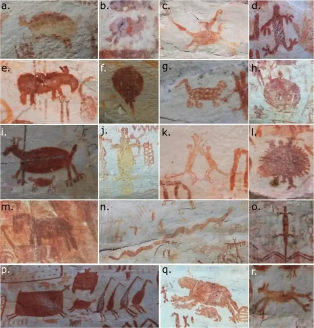 13-Kilometer Frescoes in the Colombian Amazon Reveal Lives of Early Amazonians 4 The Illustrated Encyclopedia: Giant Frescoes Reveal the Lives of Ancient Amazons