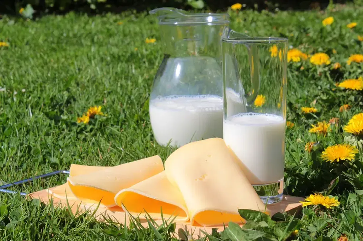 Osteoporosis: Where is calcium going?