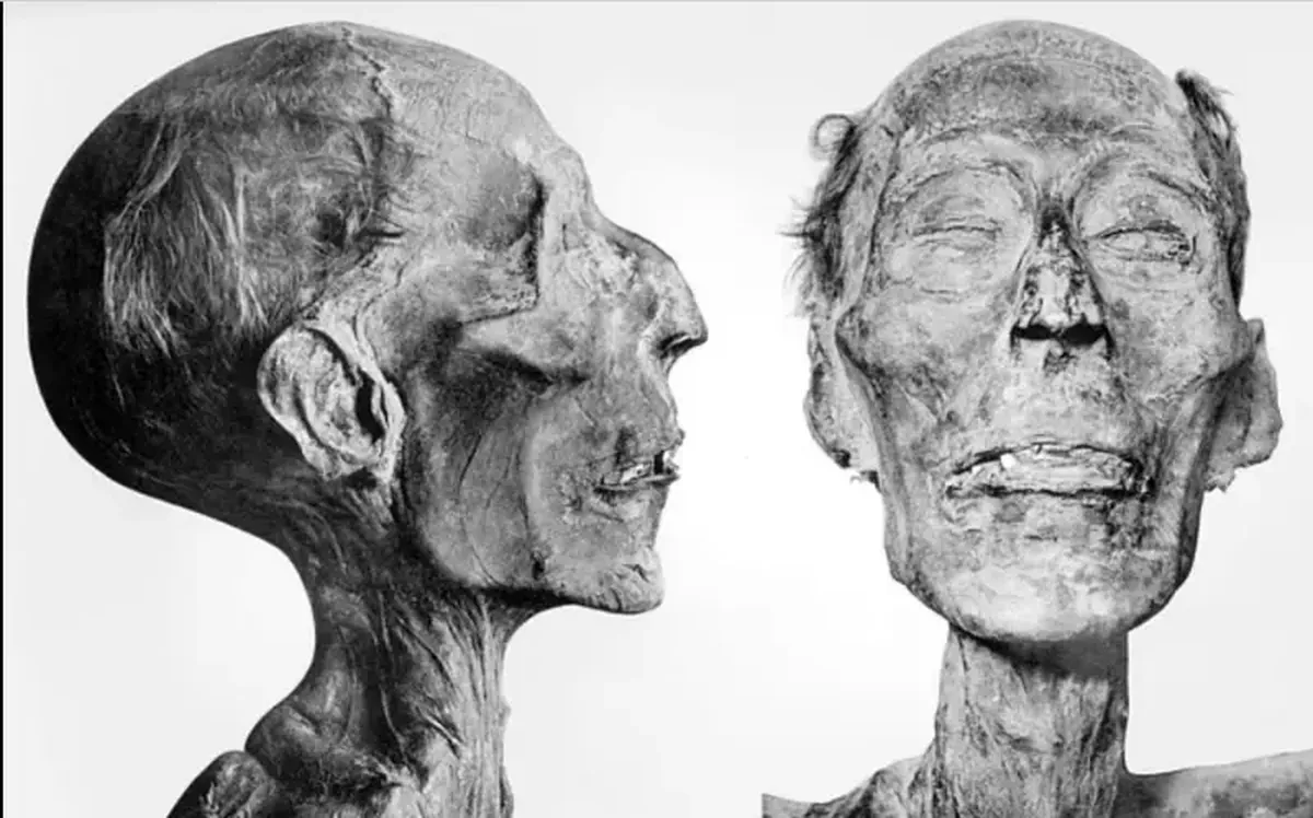 Ramses II at 90: What the Pharaoh Really Looked Like 4 The wise visage of the greatest: scientists have reconstructed the face of 90-year-old Ramesses II.