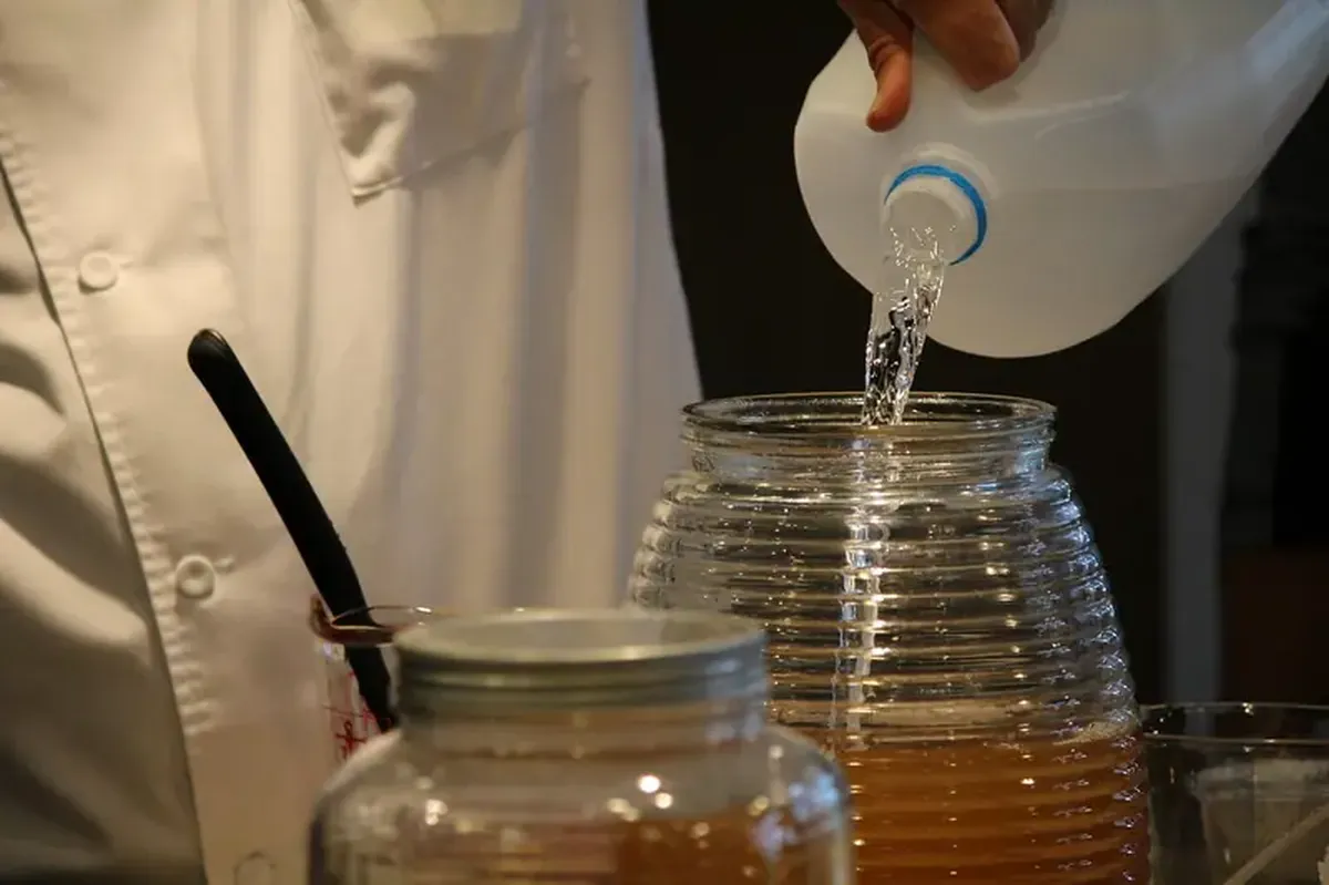Jellyfish in a Jar: What Kombucha Actually Does and Who Should Avoid It 6 Jellyfish in a Jar: The Benefits and Risks of Kombucha