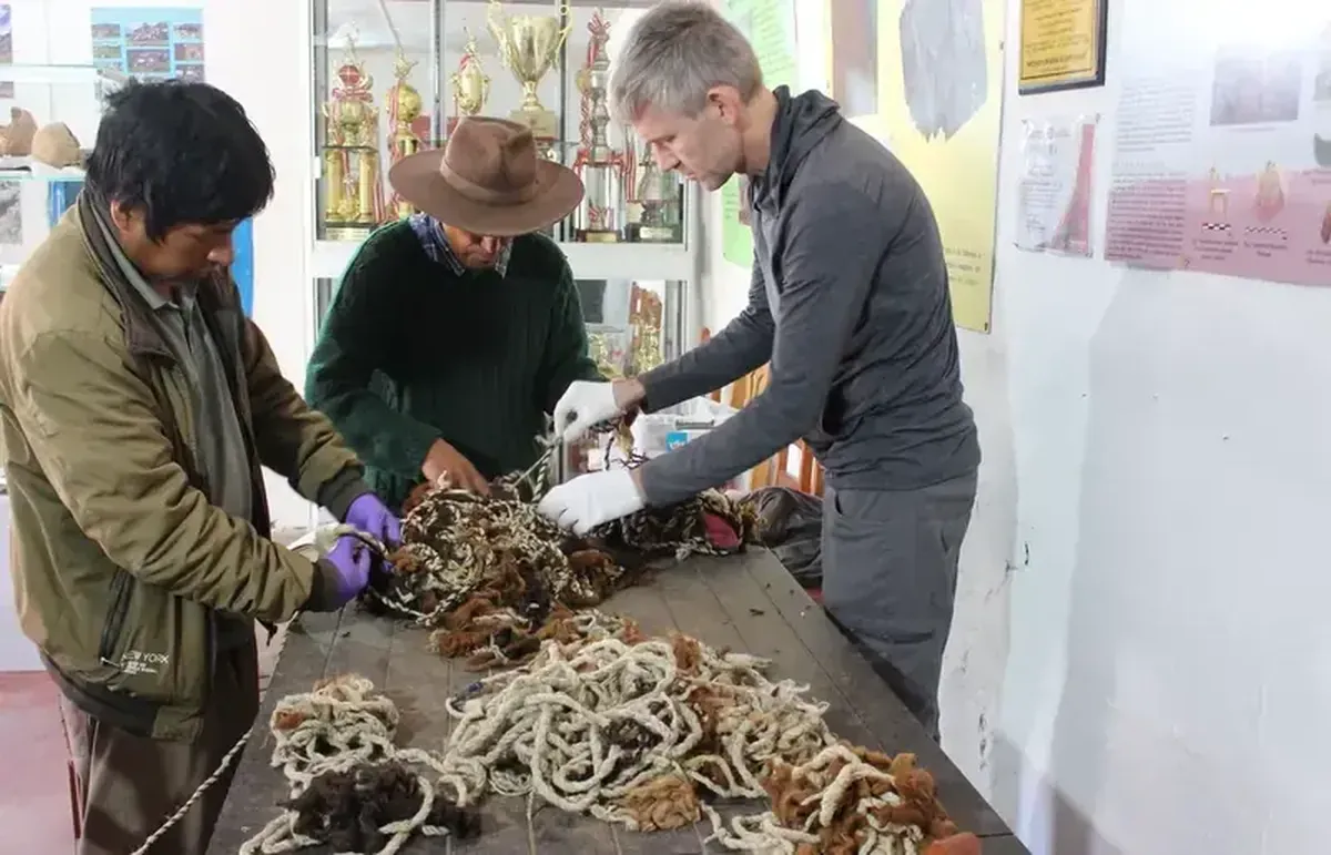 In the language of knots: a 68-meter-long message from the ancient Incas has been discovered in Peru.