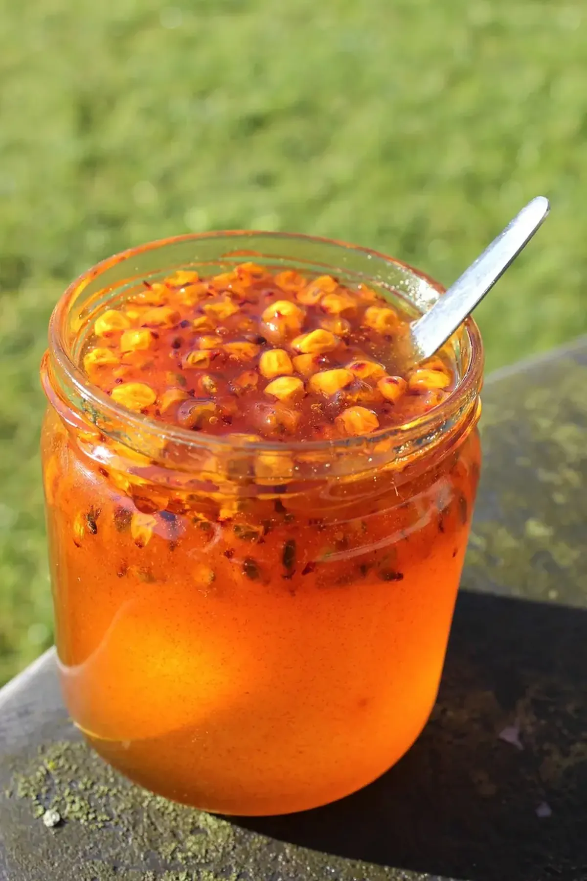 Sea buckthorn for winter: its value