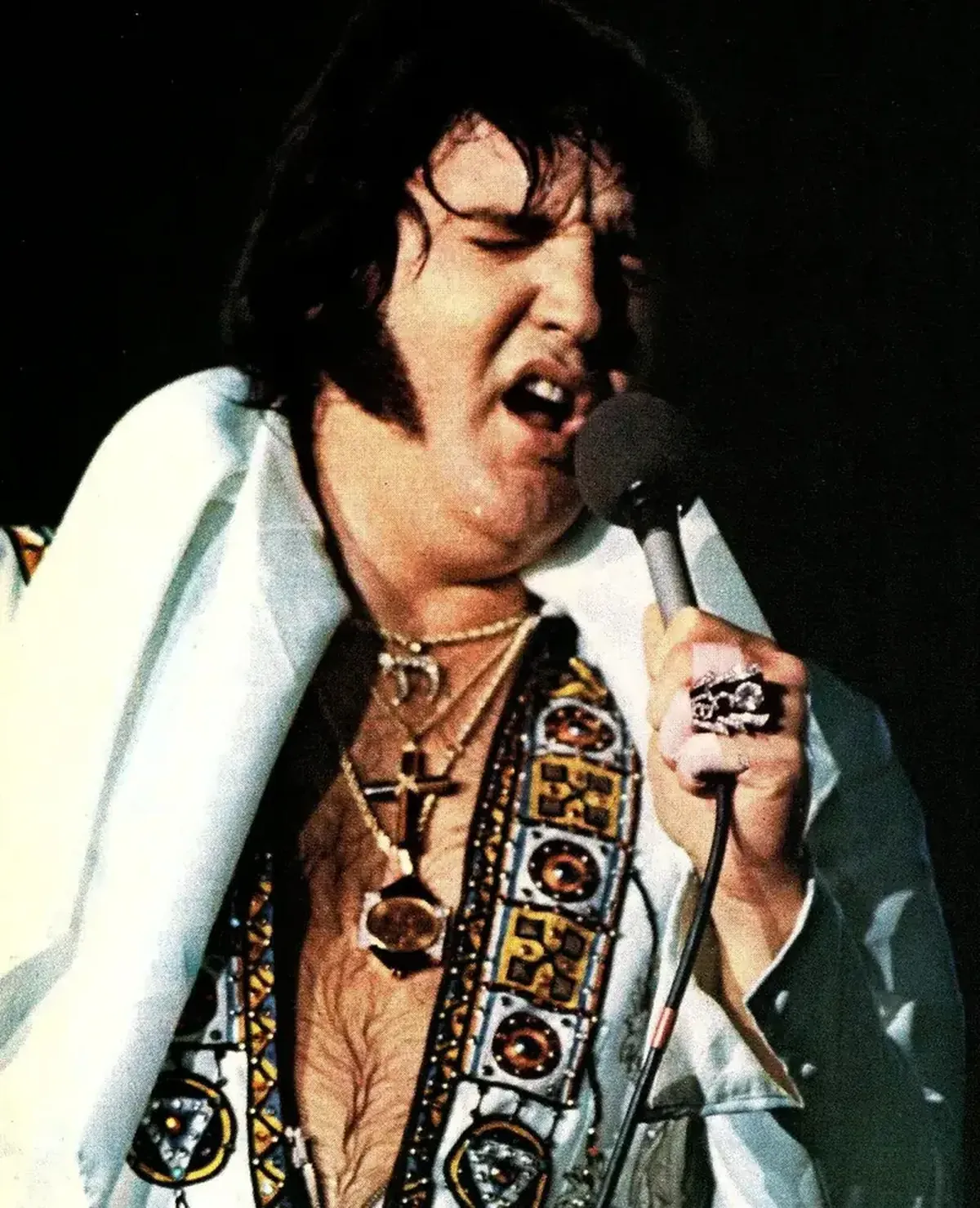 How Elvis Became the Voice of a New America 16 Elvis Presley: the new voice of America