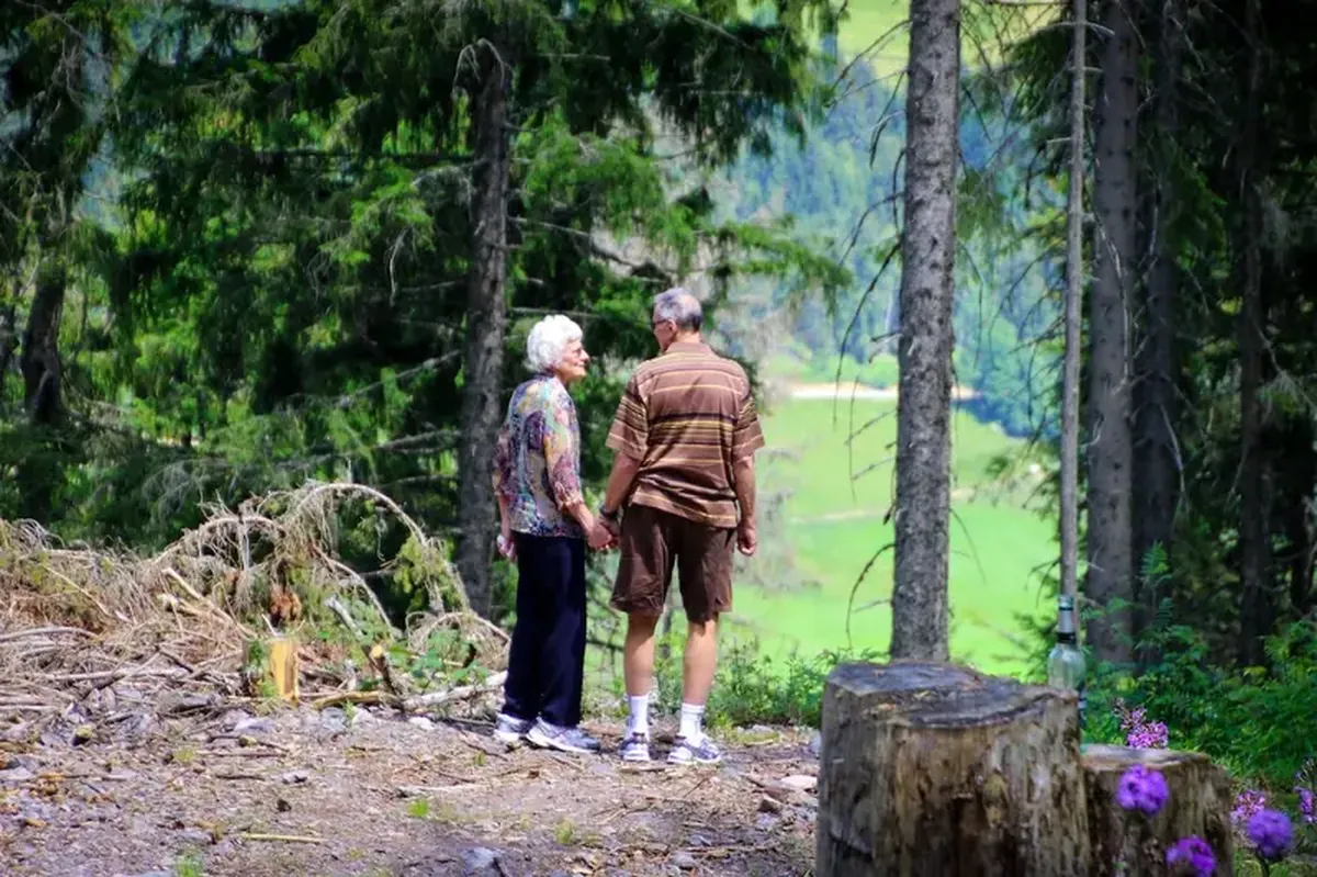 Without creaks or groans: how to stand up without pain as you age