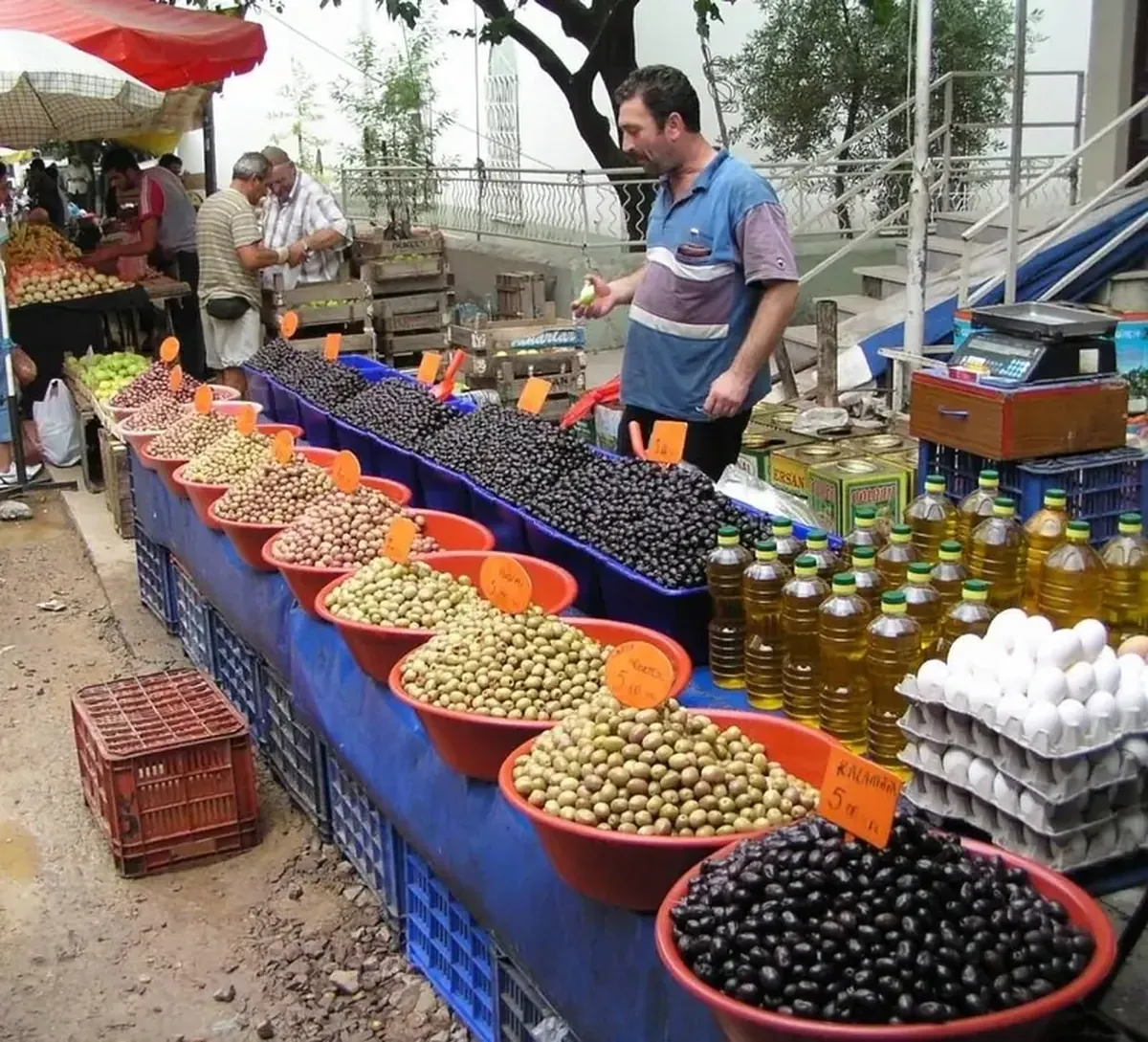 The Passion for Olive Oil: How to Spot a Fake?