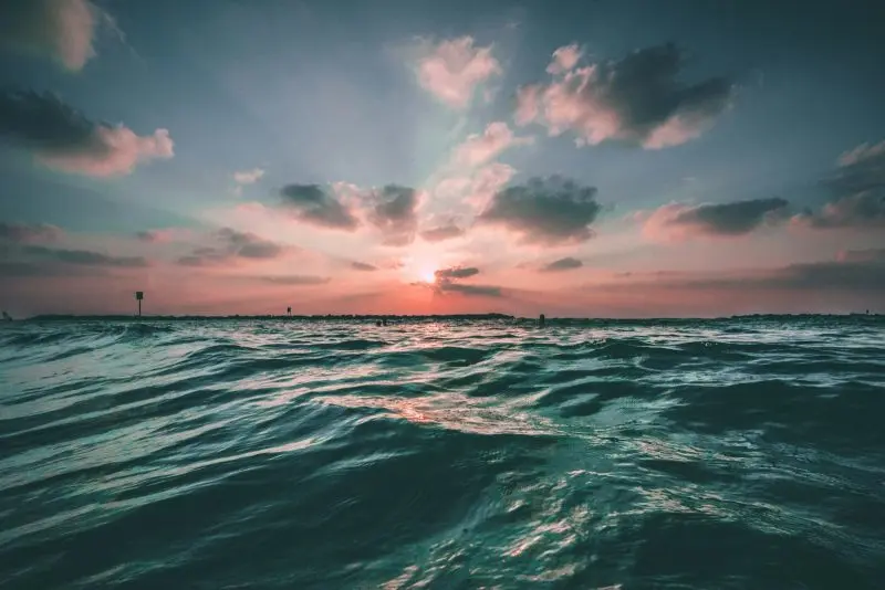 Oceans Are Getting Darker Worldwide — The Sunlit Habitat for Marine Life Is Shrinking 3 a body of water during the golden hour