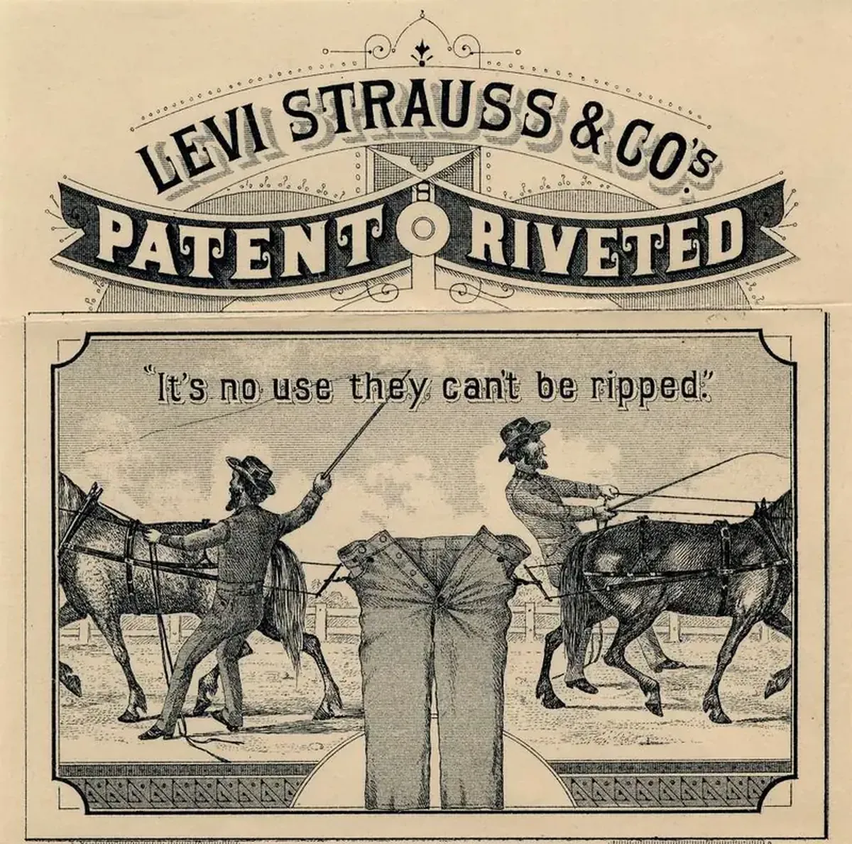 The Pants Revolution: How Jeans Took Over the World 6 The eternal trend: