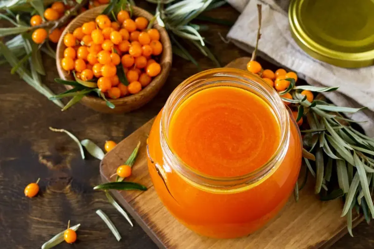 Sea buckthorn for winter: its value