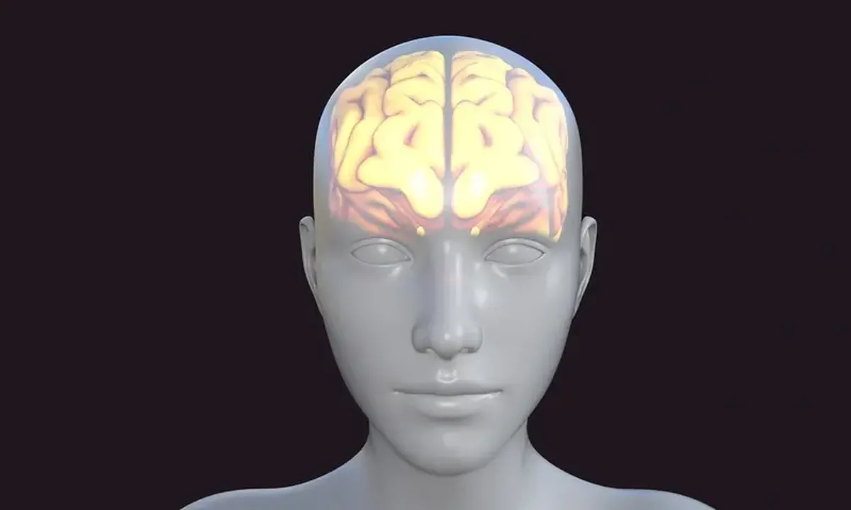 Loss of empathy is often the first sign of frontotemporal dementia.