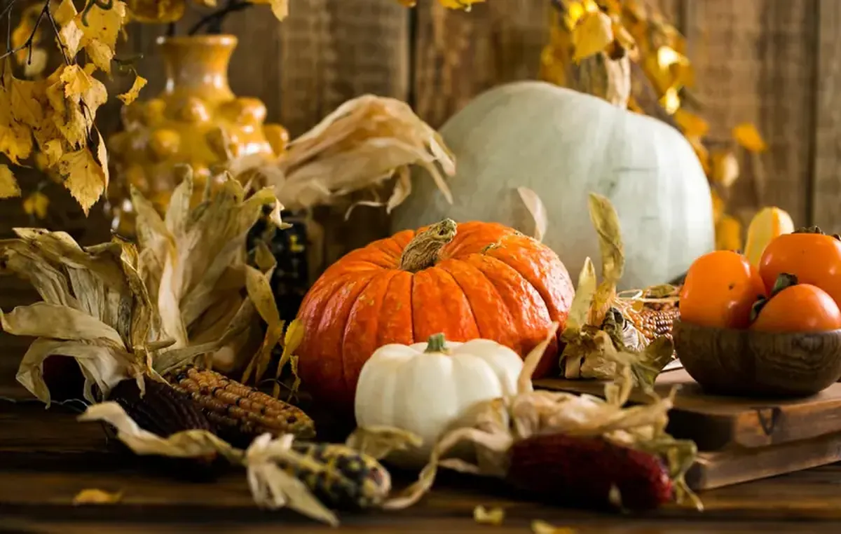 Pumpkin Recipes That Rule the Autumn Table 3 The King of the Autumn Table: Contemporary Pumpkin Recipes