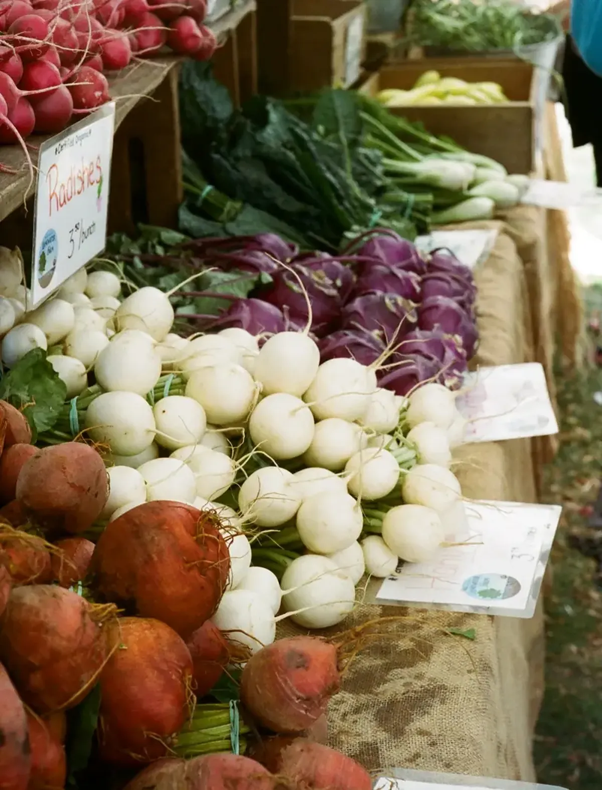 100 Grams of Radish Deliver a Day’s Worth of Vital Nutrients 4 Radish: I won't give away a hundred grams.
