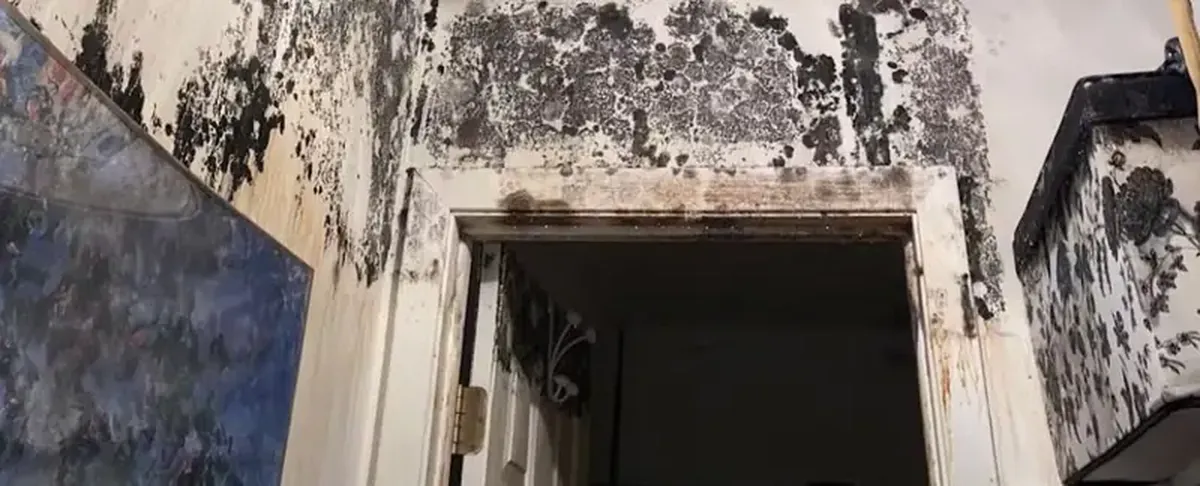 Is Mold Growing in Your Home a Serious Health Risk? 3 Should you be concerned about mold growing in your home?