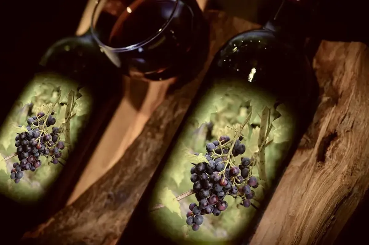 Hitchhiking from New York: Spotted Lanternfly Eggs Threaten California Wine Harvest 3 The killer of California wine arrived hitchhiking from New York.
