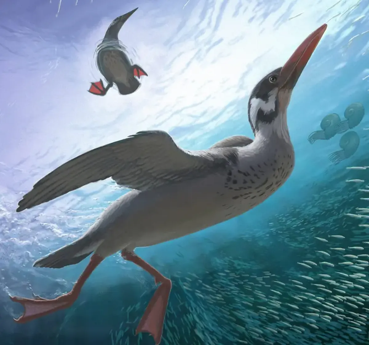 All modern birds originated in Antarctica, as confirmed by a rare discovery.