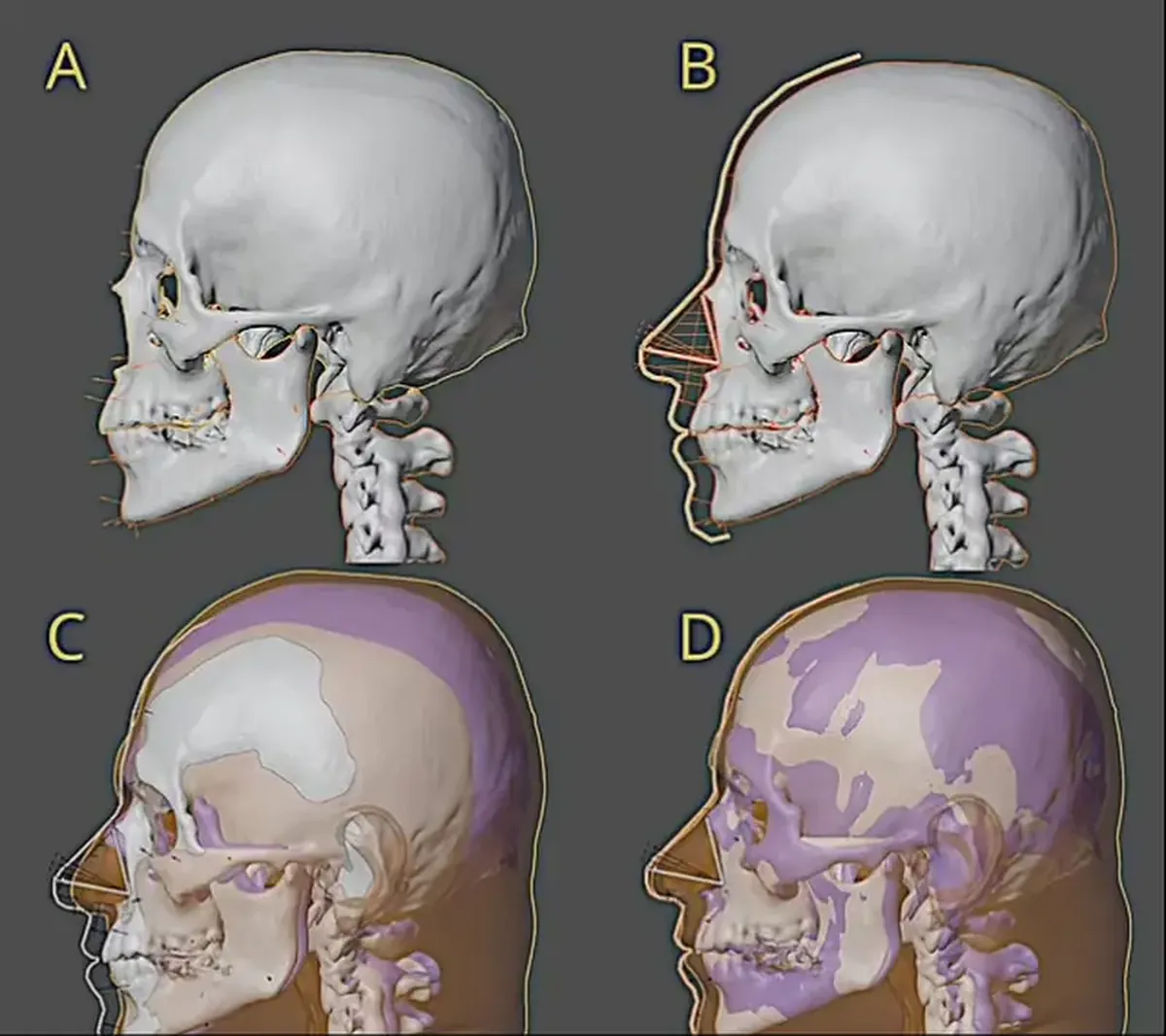 We envisioned him differently: scientists have recreated Mozart's true face.