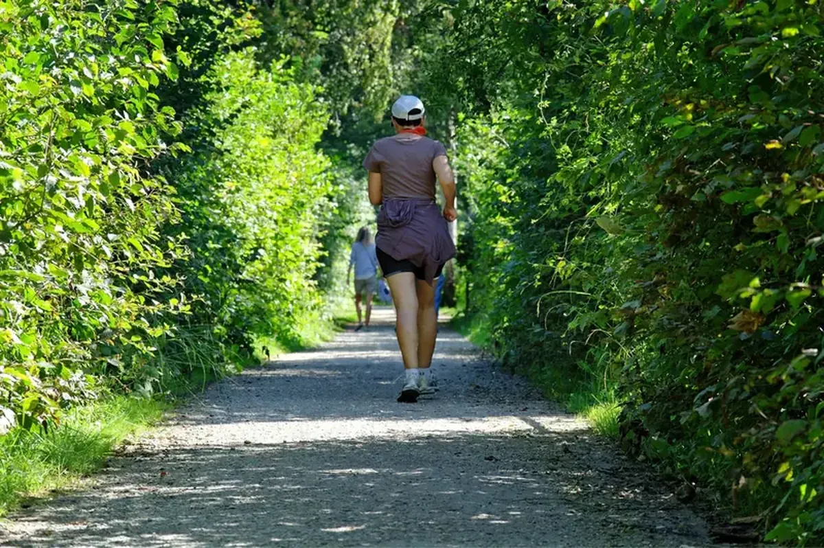 It may sound crazy, but walking backward is actually very beneficial.