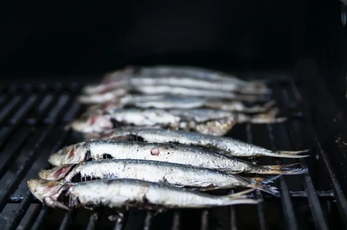 Eat to Slow Aging: Everyday Foods That Help You Stay Younger 6 Eating for Rejuvenation: Key Foods to Combat Aging