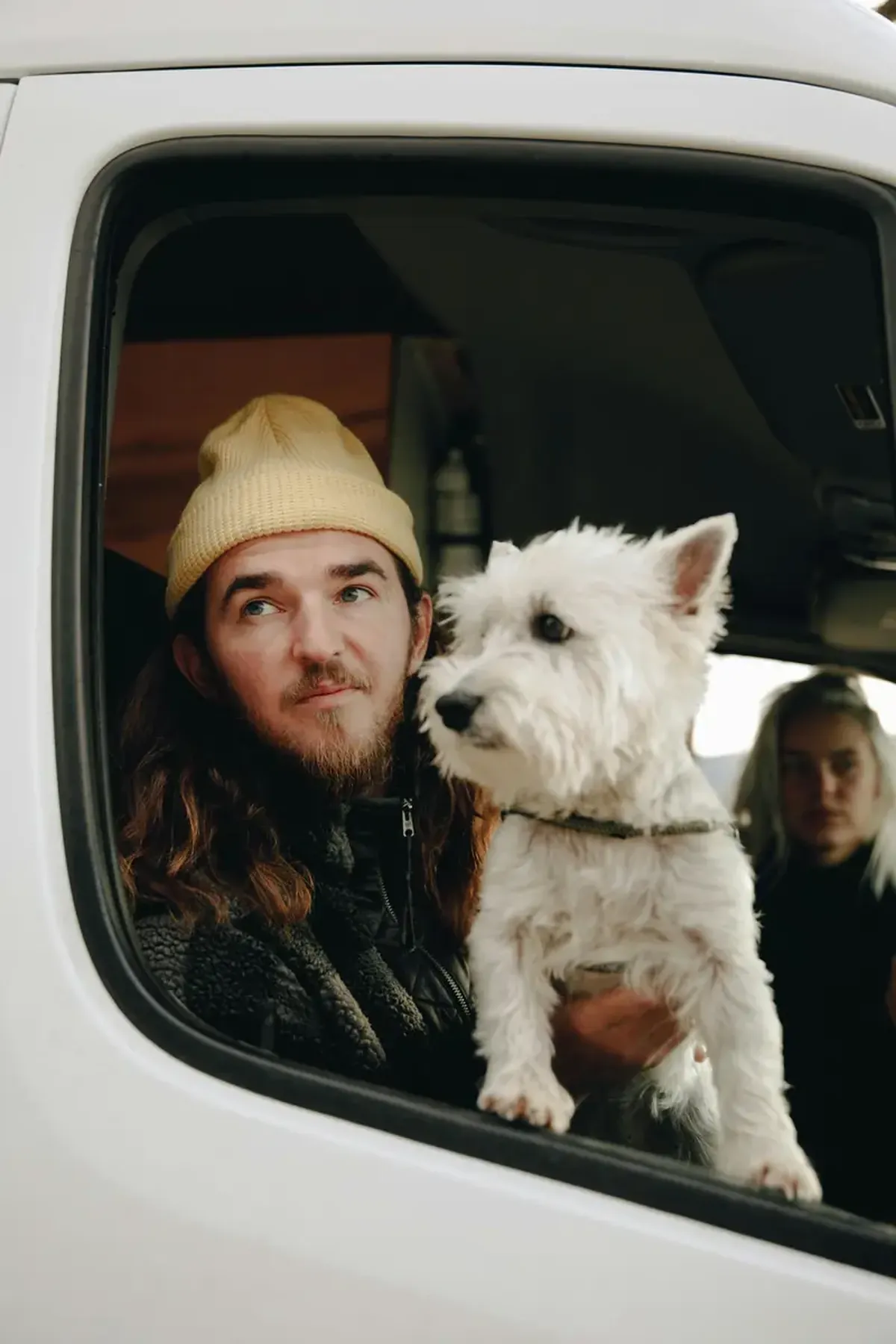 Why Dogs Love Sticking Their Heads Out of Car Windows 3 Why do dogs like to stick their heads out of car windows?