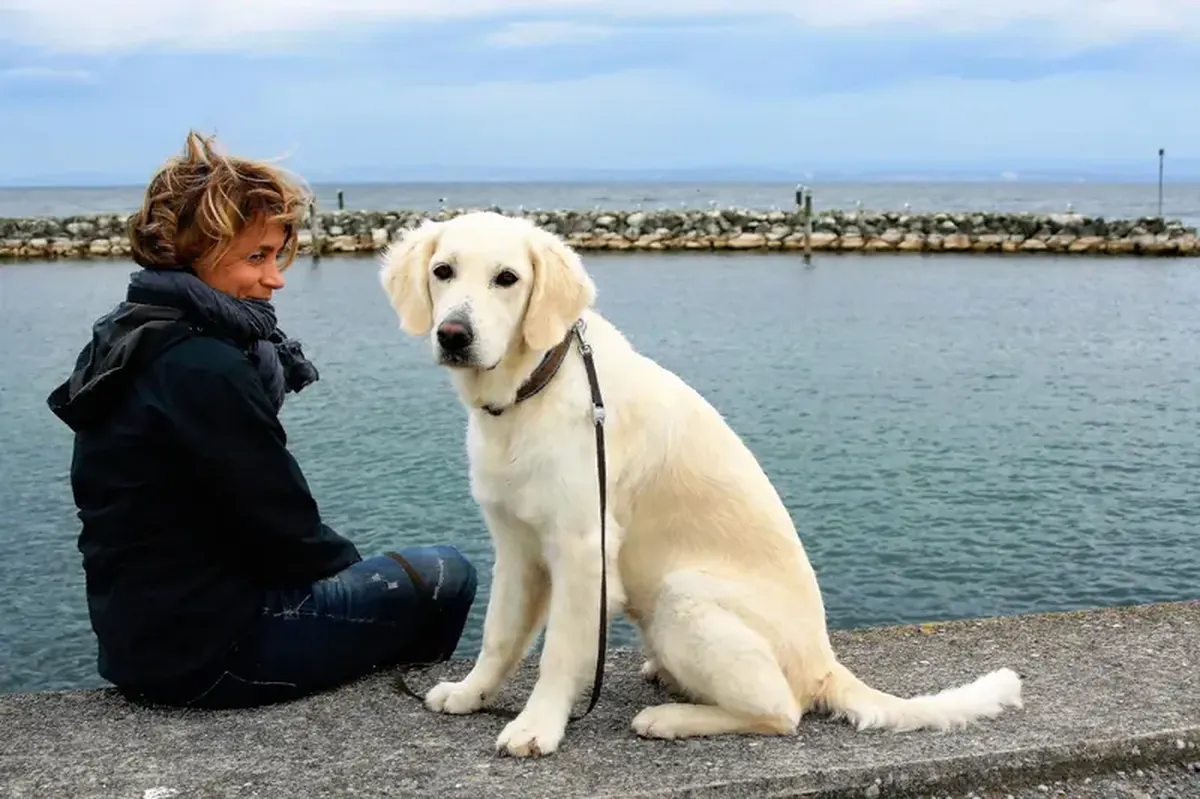 How a Selfie with Your Dog Can Boost Your Dating Prospects 3 A selfie with a dog can save you from loneliness.