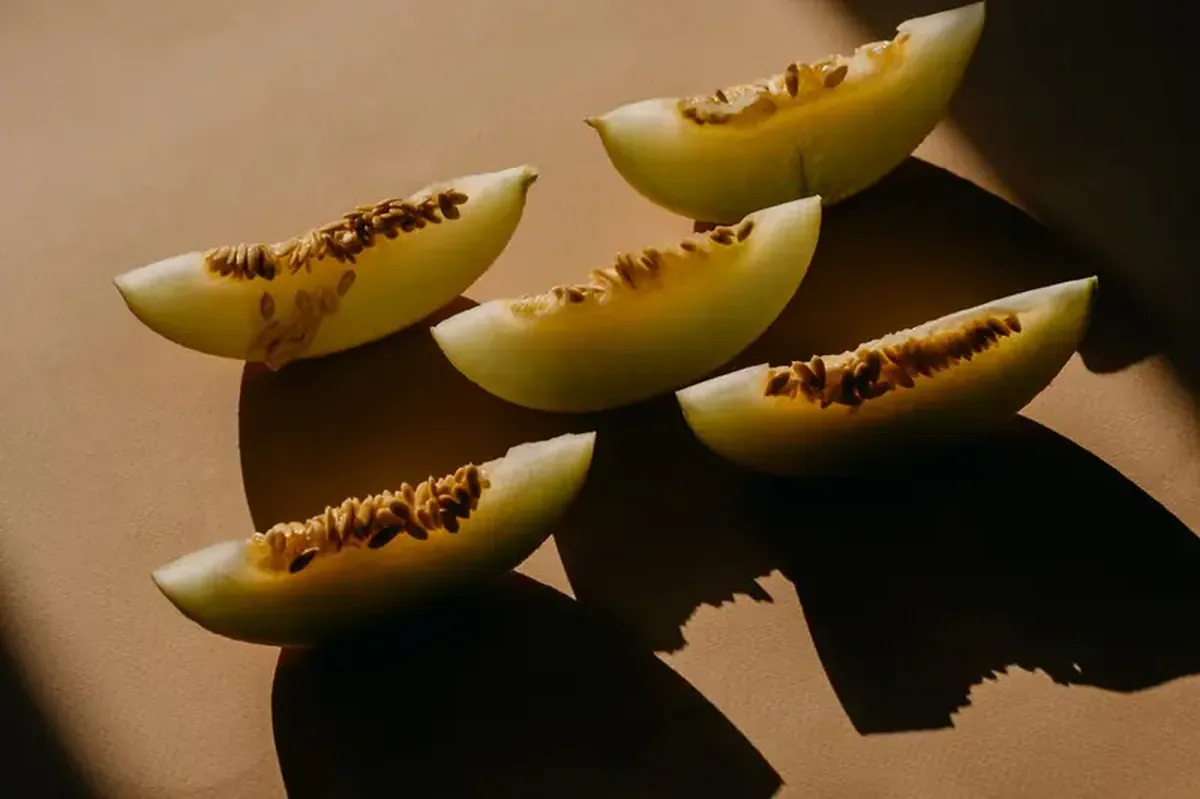A sweet gift: the melon came to Europe from Asia.