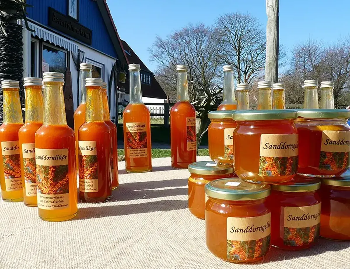 Sea buckthorn for winter: its value