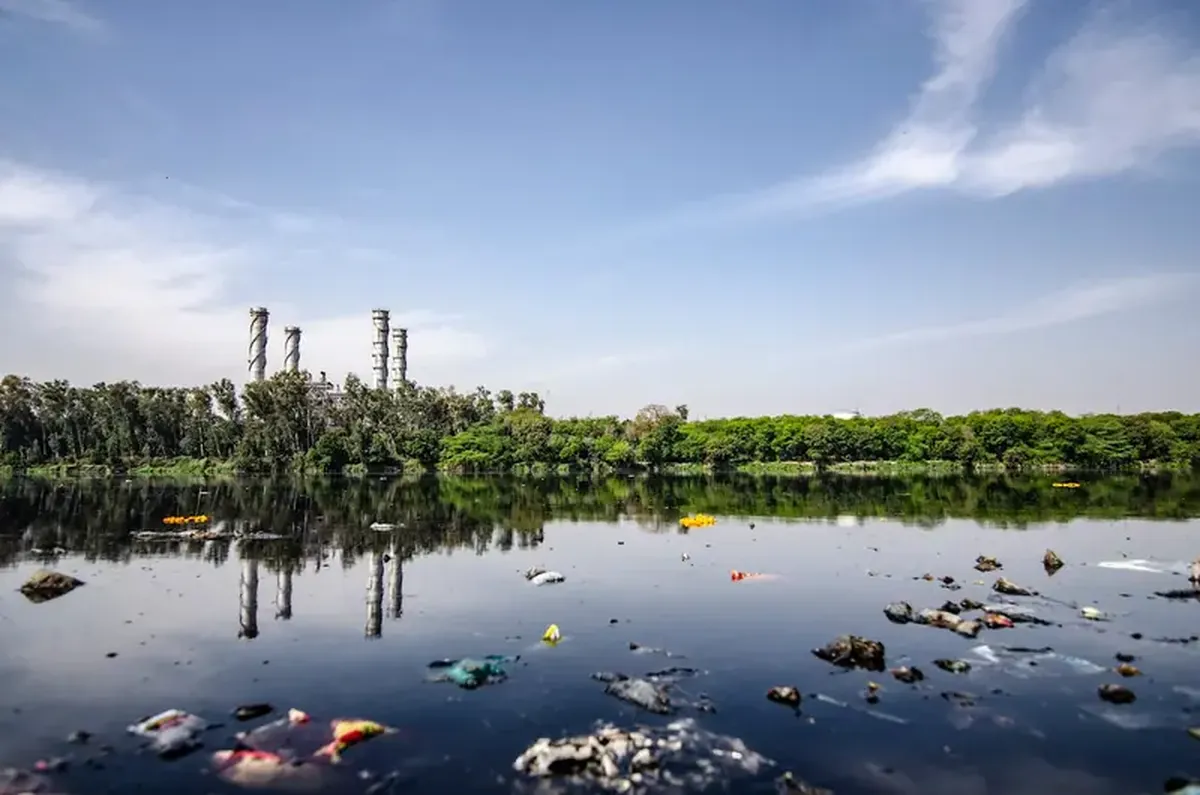 Top 5 types of waste most often flushed down the toilet.