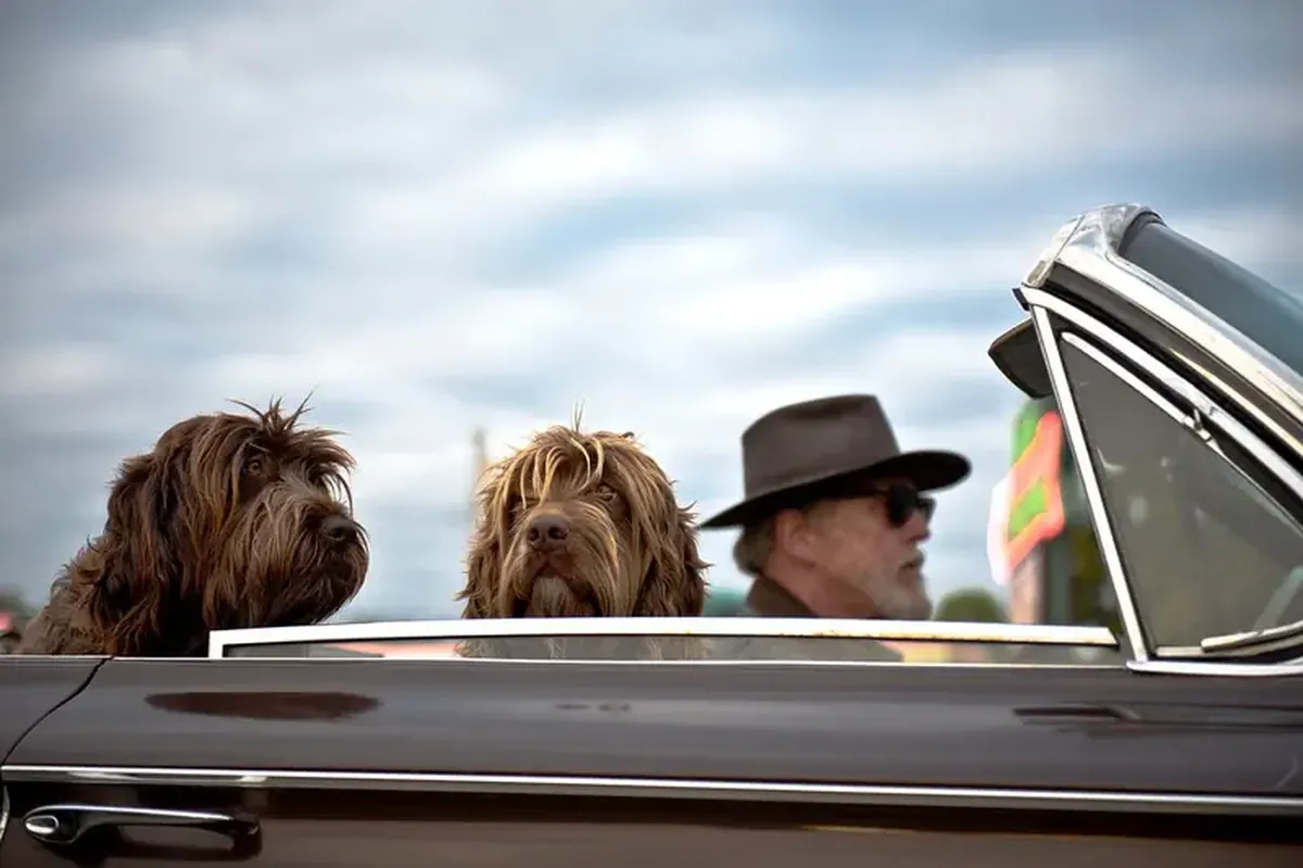 Cats and dogs help protect lonely elderly owners from dementia.