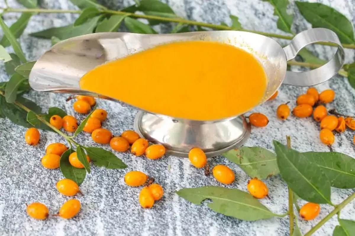 Sea buckthorn for winter: its value