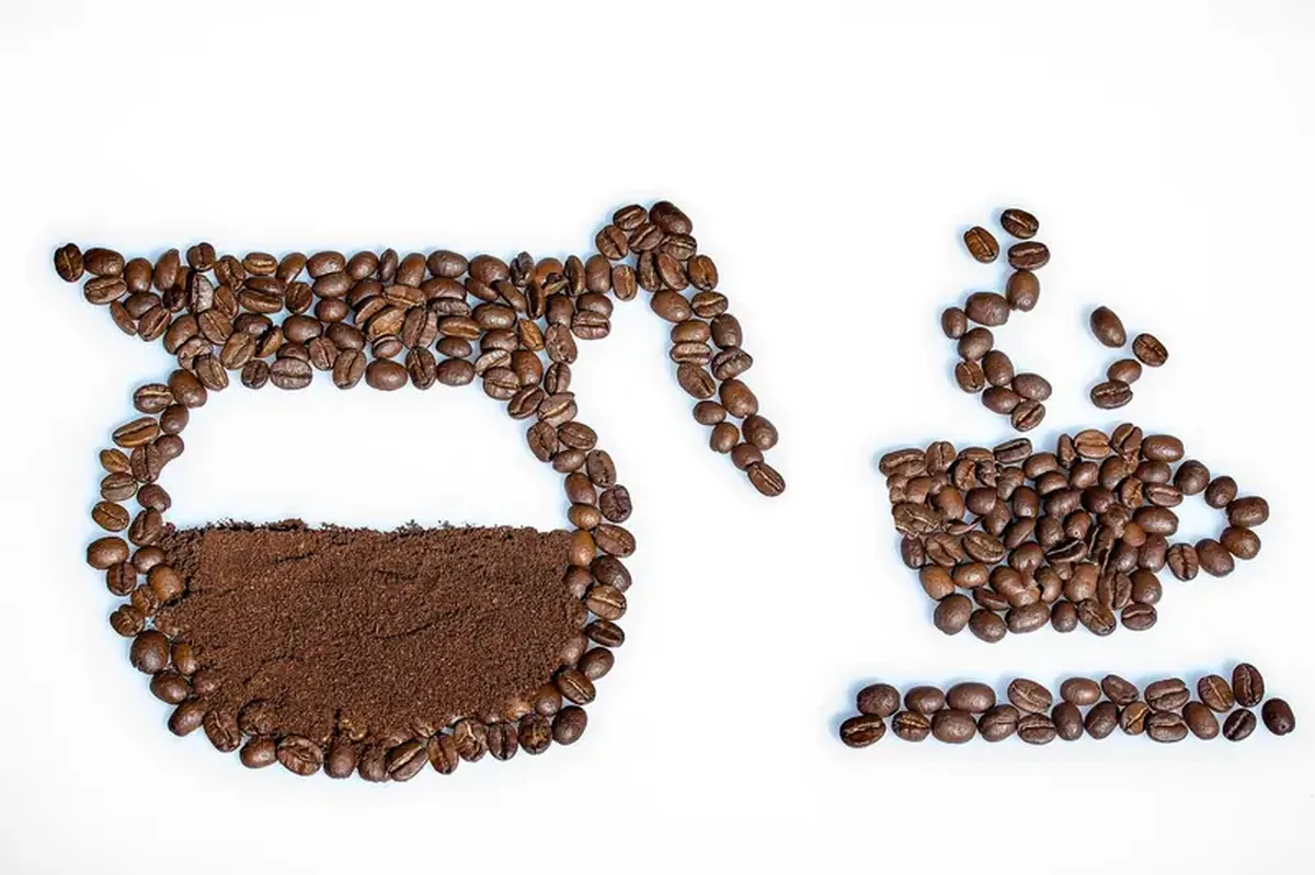 Coffee: Is It Helping You or Harming You? 7 Coffee: a healer or a tormentor?
