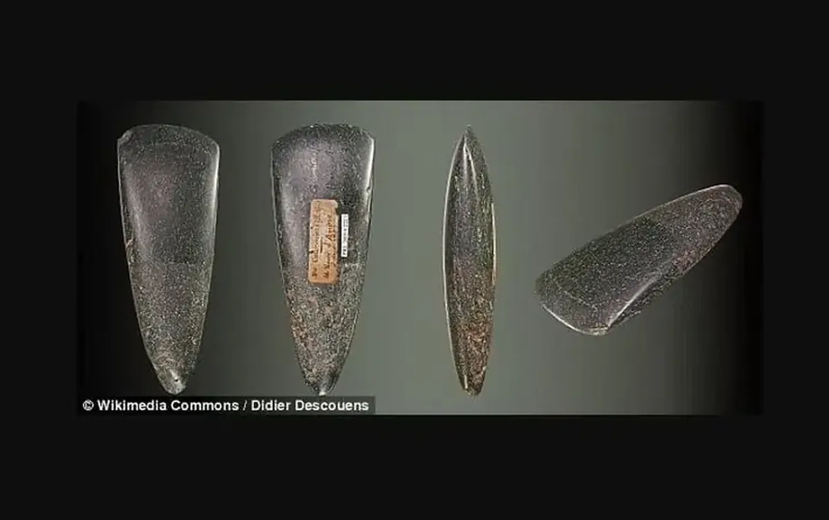 476,000-Year-Old Wooden Structure Found in Zambia Rewrites the Stone Age 6 A wooden structure from the Stone Age: an incredible discovery in Zambia.