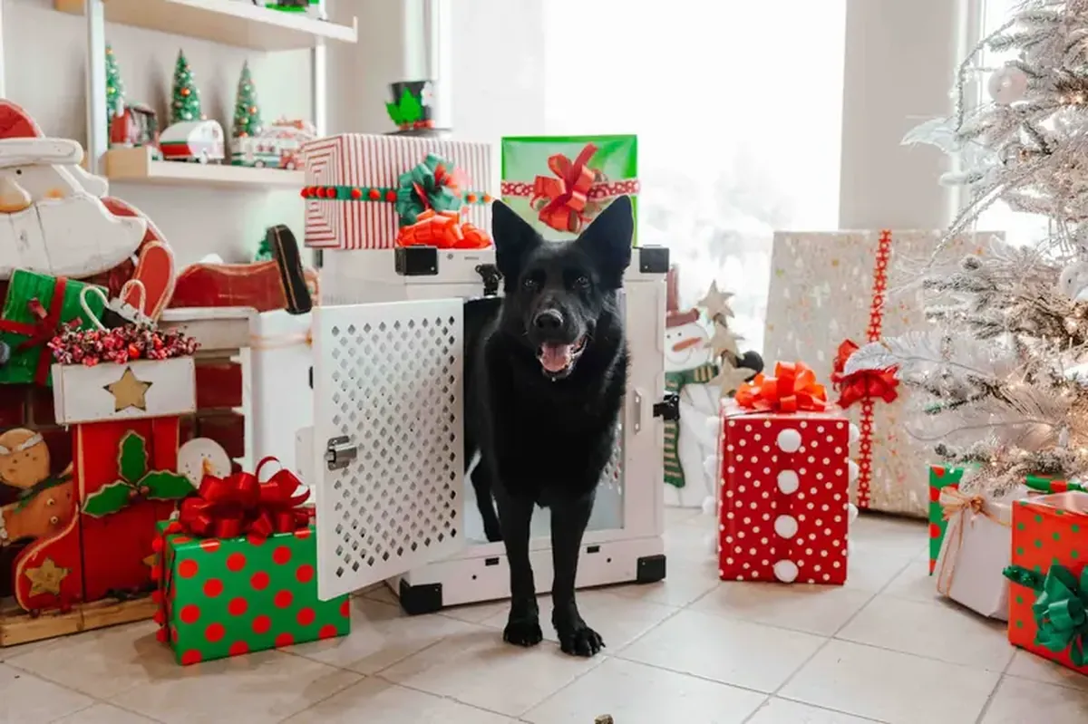 Christmas foods can turn your dog into a chubby pup.
