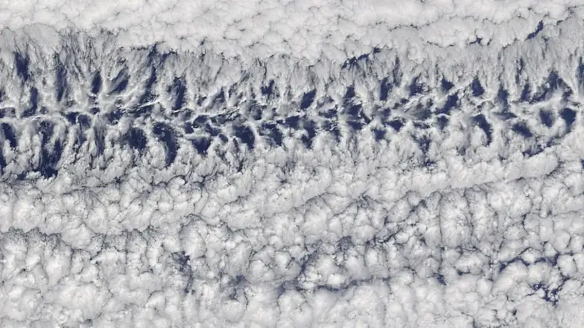 A strange ring of clouds has formed in the middle of the Pacific Ocean, visible from space.