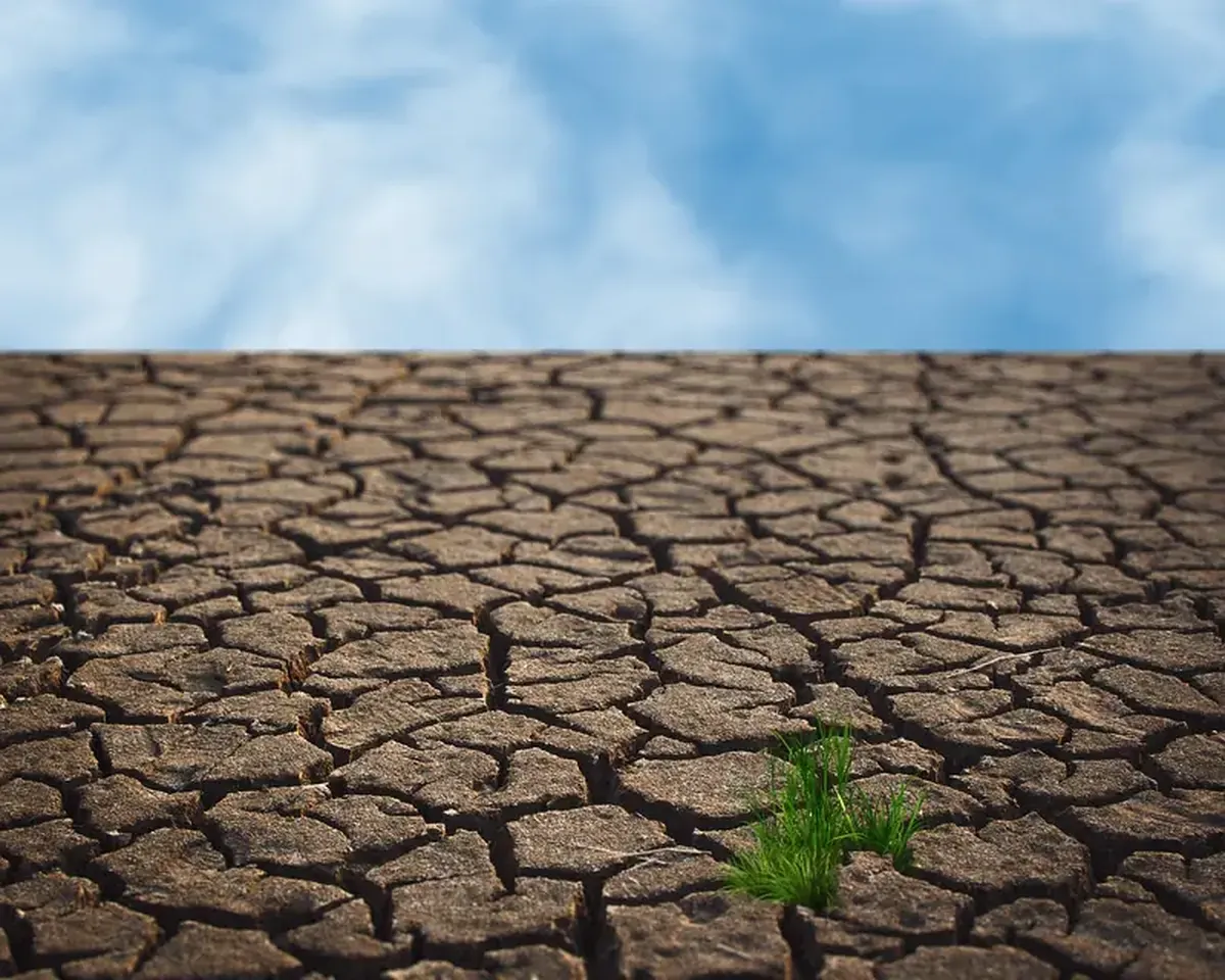 Earth Is Losing Water From Soil, Lakes, and Rivers — Is Agriculture Next? 3 Water reserves in the soil, lakes, and rivers are decreasing — is this the beginning of an agricultural crisis?