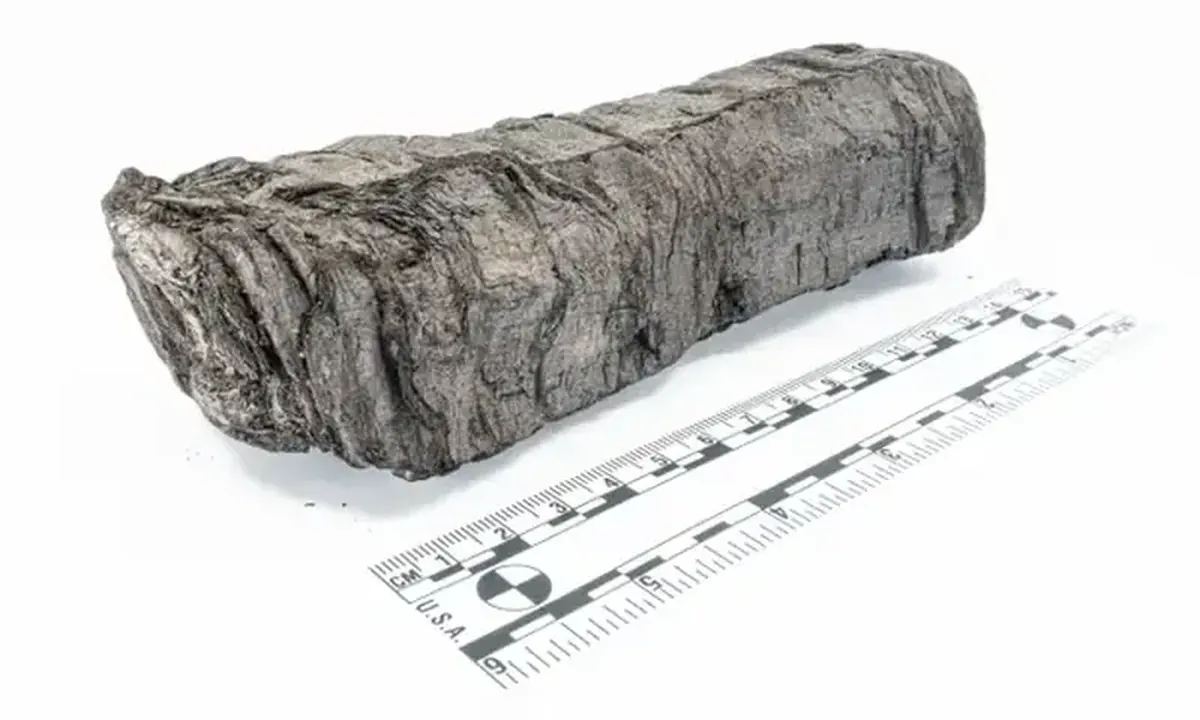 AI and X-Rays Read a Burned Scroll from Herculaneum 5 AI helped to read the charred scroll from Herculaneum.