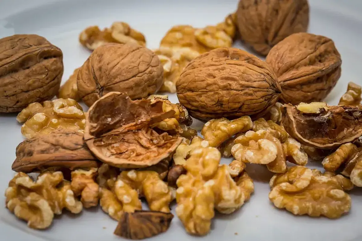 Walnuts: How a Few Nuts Deliver Big Energy and Brain Benefits 3 Walnut: nuclear energy