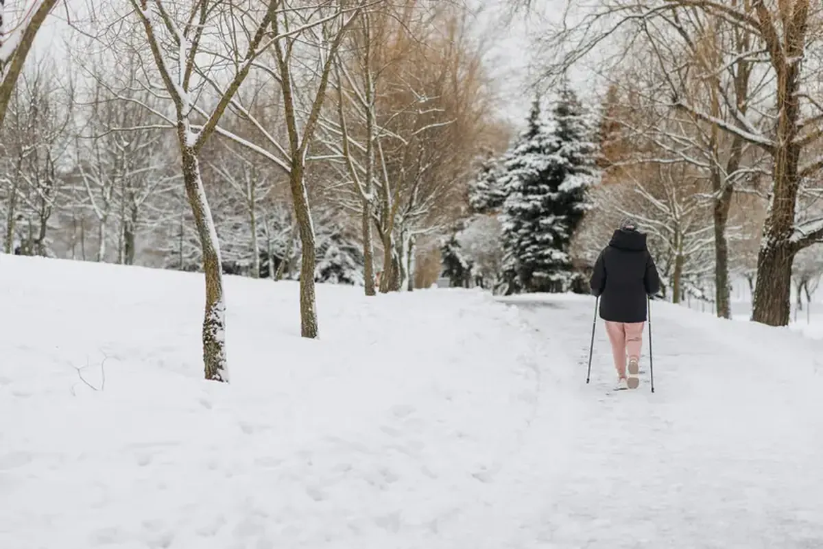 Cold Therapy Works: How Cold Showers and Winter Dips Boost Immunity, Heart Health, and Mood 6 Embrace the cold: cold therapies can benefit heart health and immunity.
