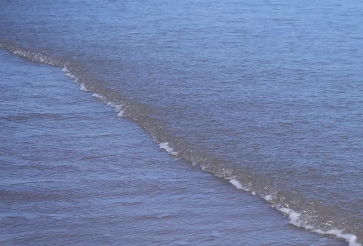 The Atlantic Current Could Shut Down by 2057 — Here’s What That Would Do to the Climate 3 A man surfing a wave in the ocean.