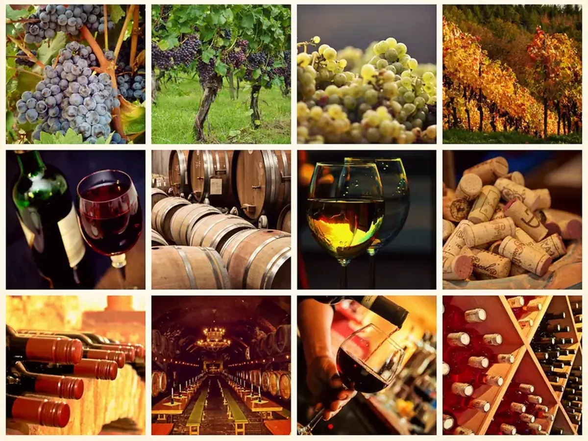 Why the "French paradox" doesn't mean a daily glass of wine is safe 3 The truth about the French paradox: a daily glass of wine is not beneficial.