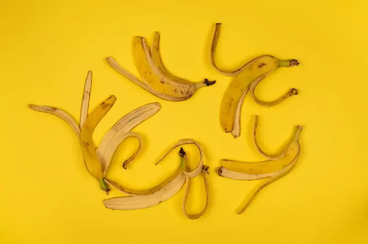 Banana peel flour can make baked goods healthier—and taste better 3 Researchers say banana peels make baked goods healthier.