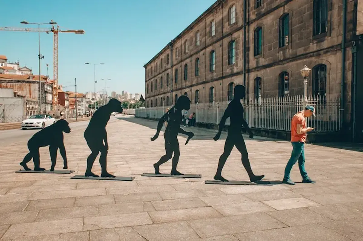 How Flexible Shoulders and Elbows Evolved as Brakes for Tree Descent 3 People walking on the sidewalk during the day.