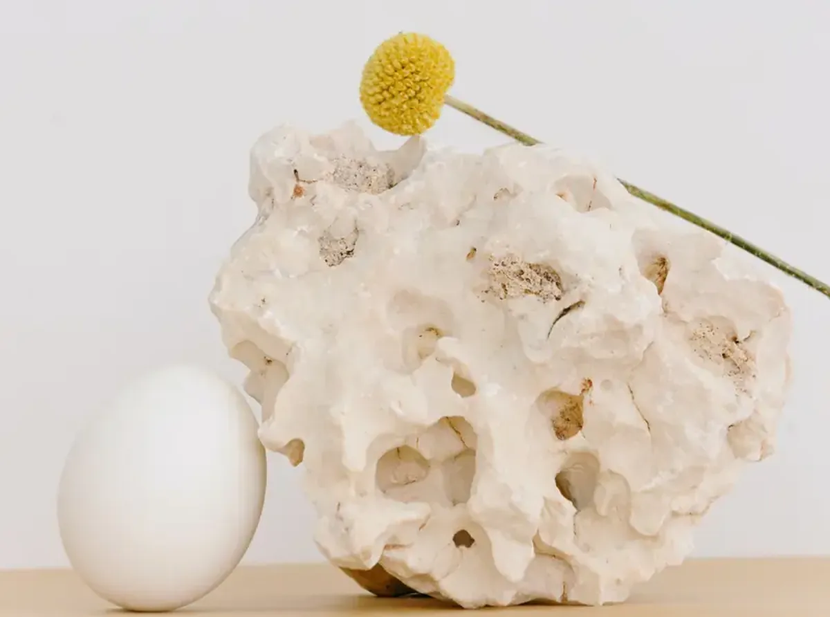 Cool or Not: The Truth and Myths About Eggs