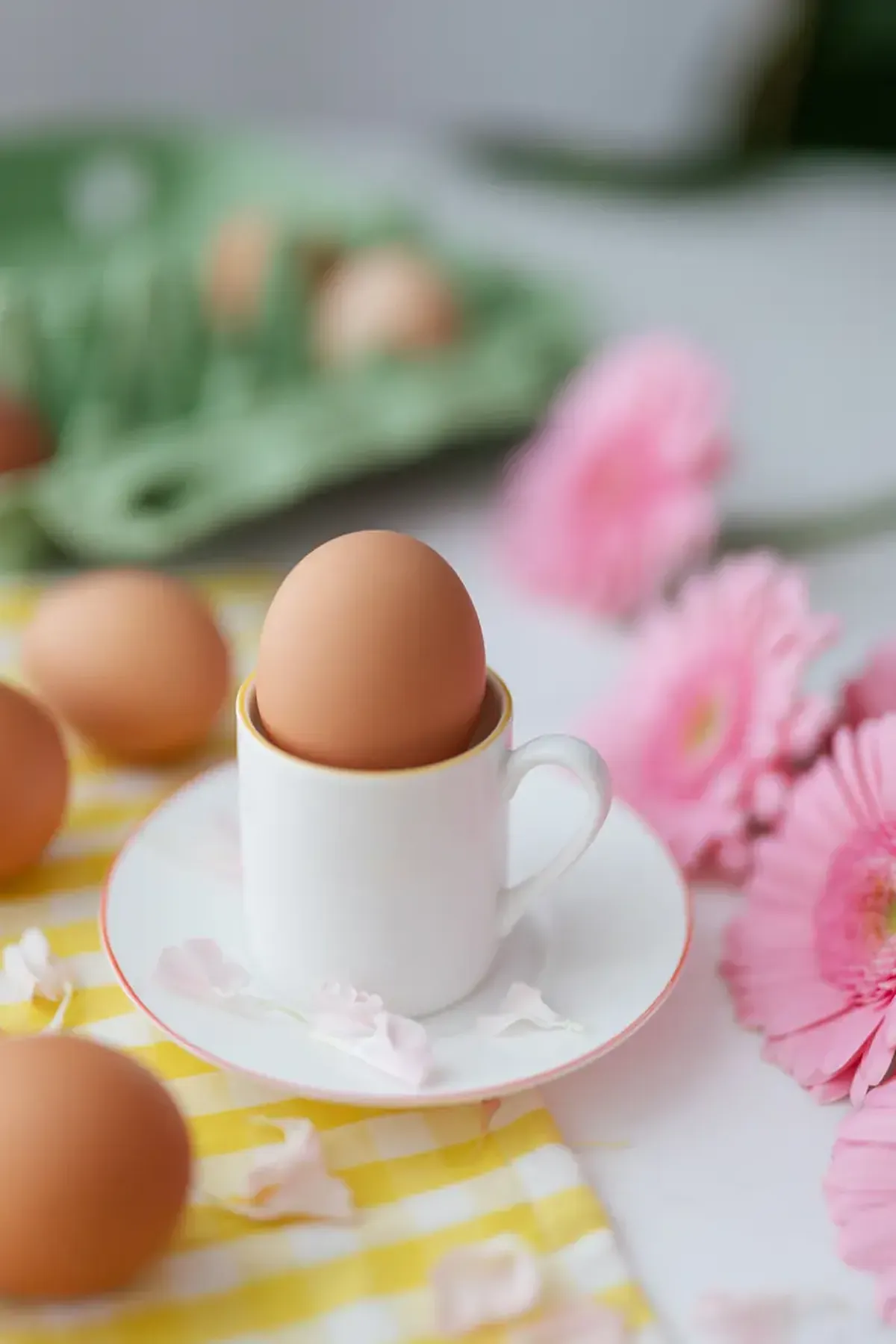 Cool or Not: The Truth and Myths About Eggs