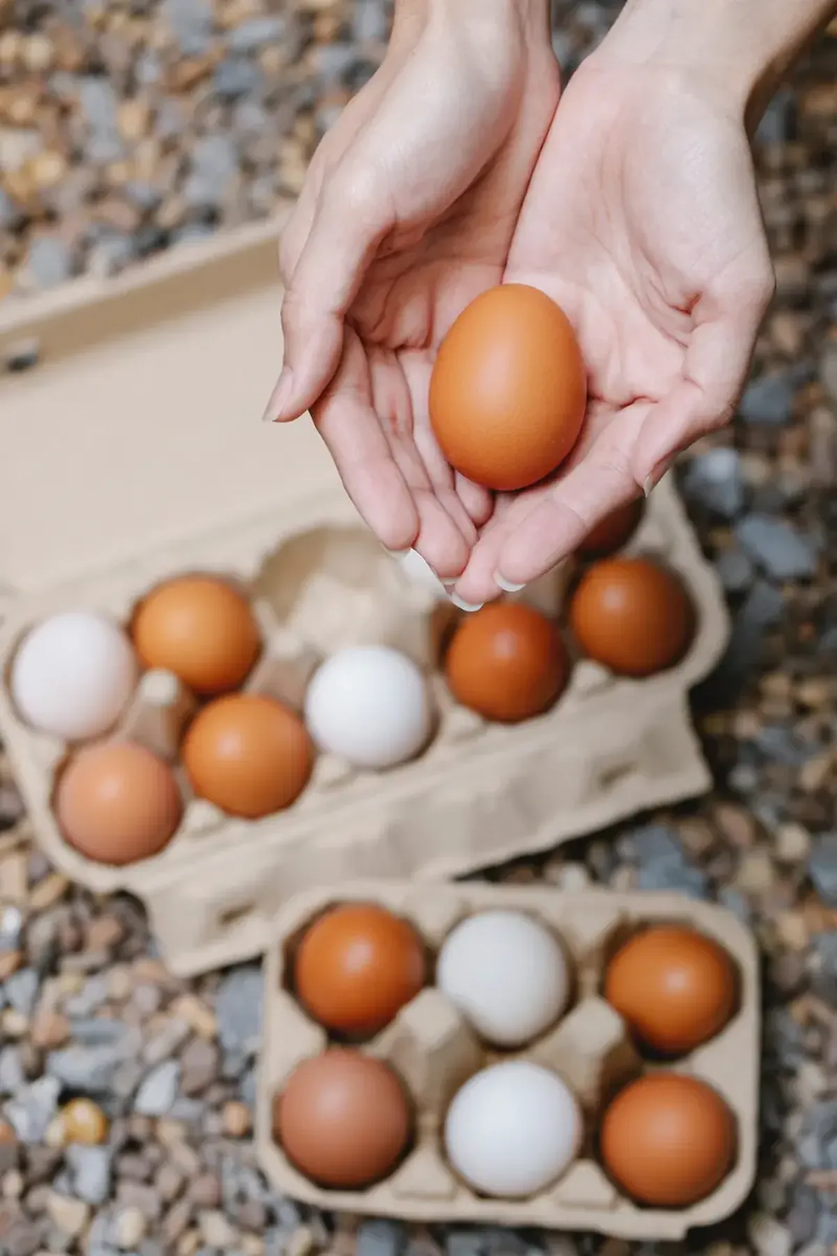 Cool or Not: The Truth and Myths About Eggs