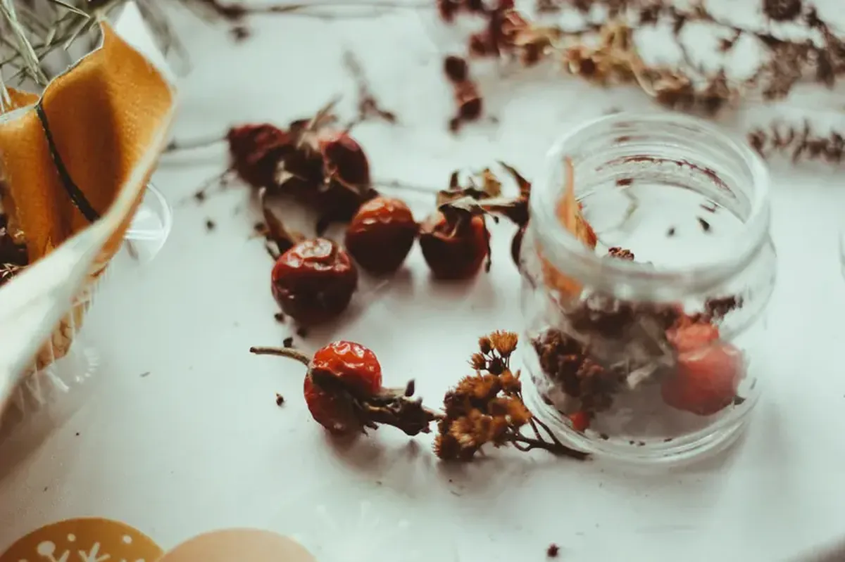 The vitamin magic of rose hips in spring: healing and enhancing beauty!