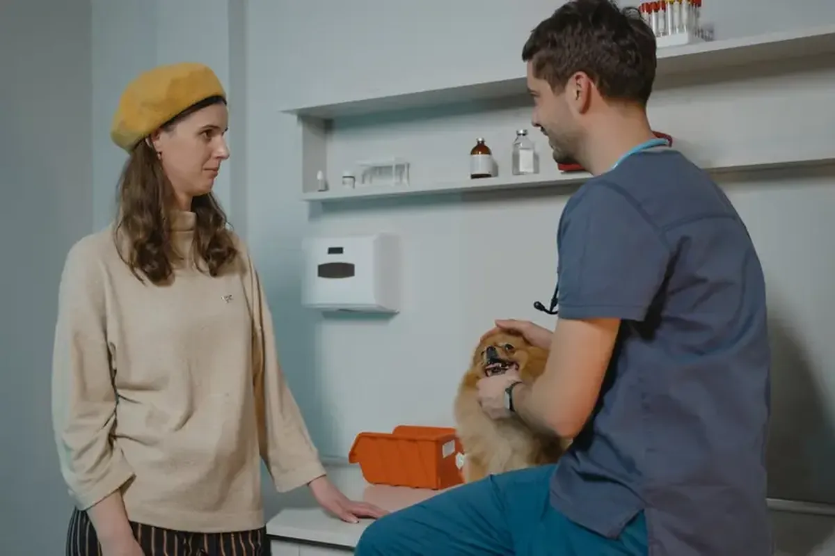 Purebred dogs aren't more prone to illness than mixed breeds: debunking the myth.