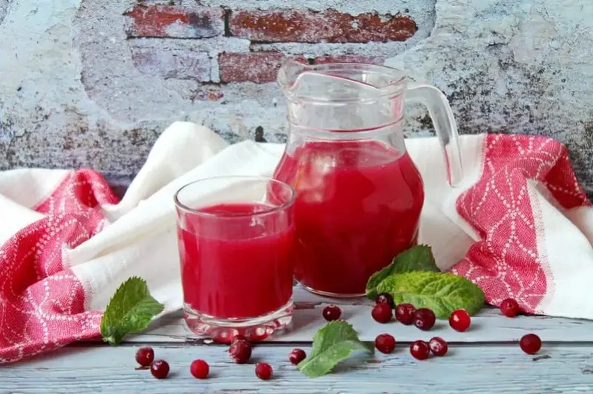 Cranberry Honey Jelly: A Simple Recipe to Tame Acidity 3 Cranberry Jelly: Recipe with Honey