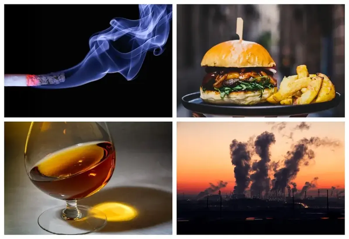 The Deadly Quartet: Factors Linked to One-Third of All Deaths Worldwide Identified